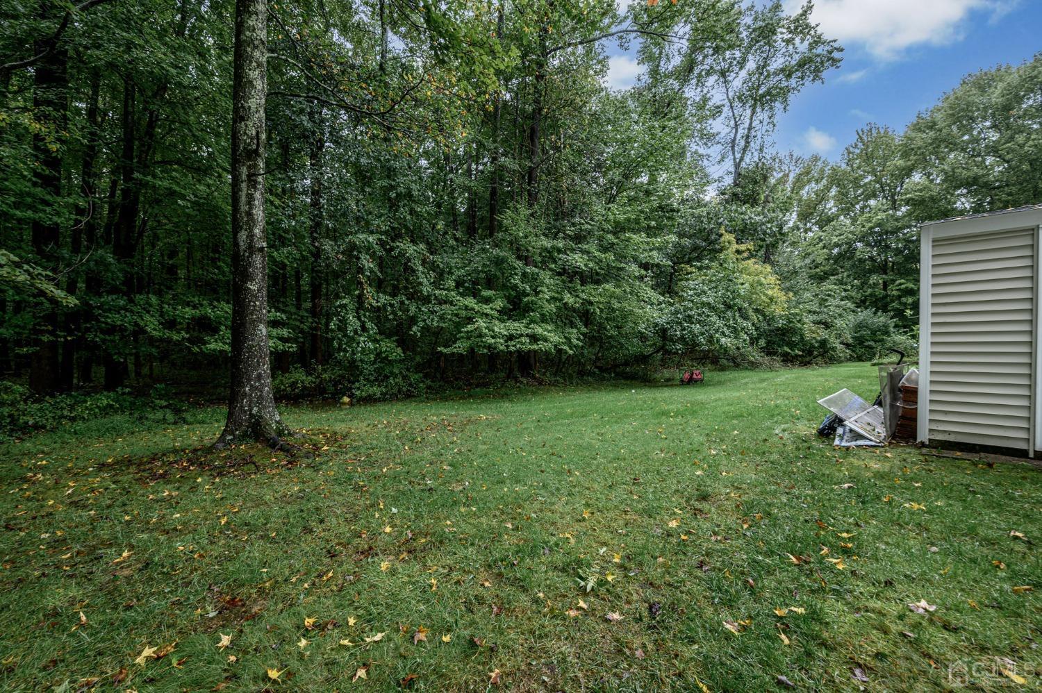 64-64 cottonwood, South Brunswick, NJ, 08852