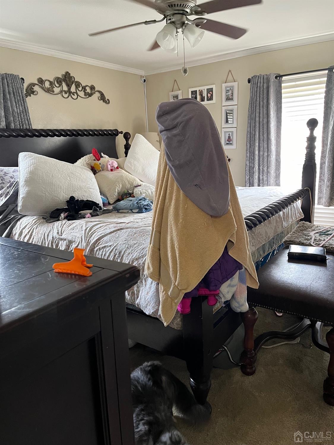 116 Doyle, Piscataway, NJ, 08854