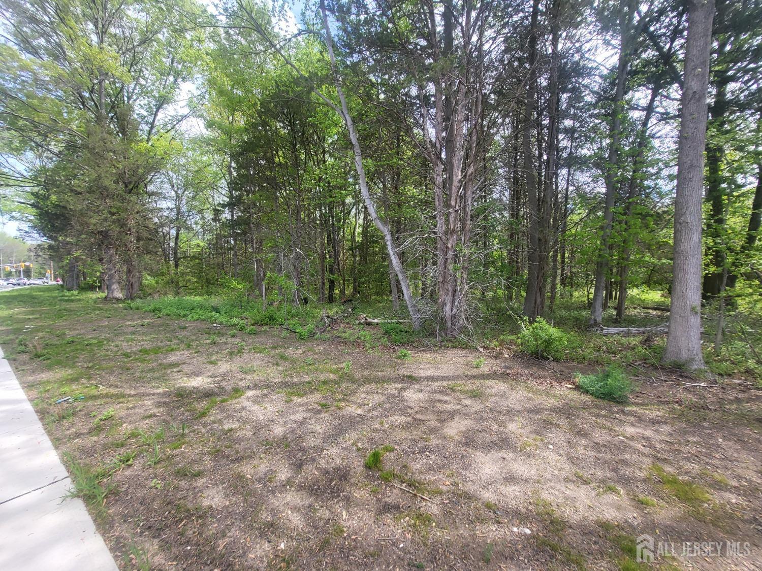 380-390 Mounts Mills Road, Monroe NJ 08831 - View 5