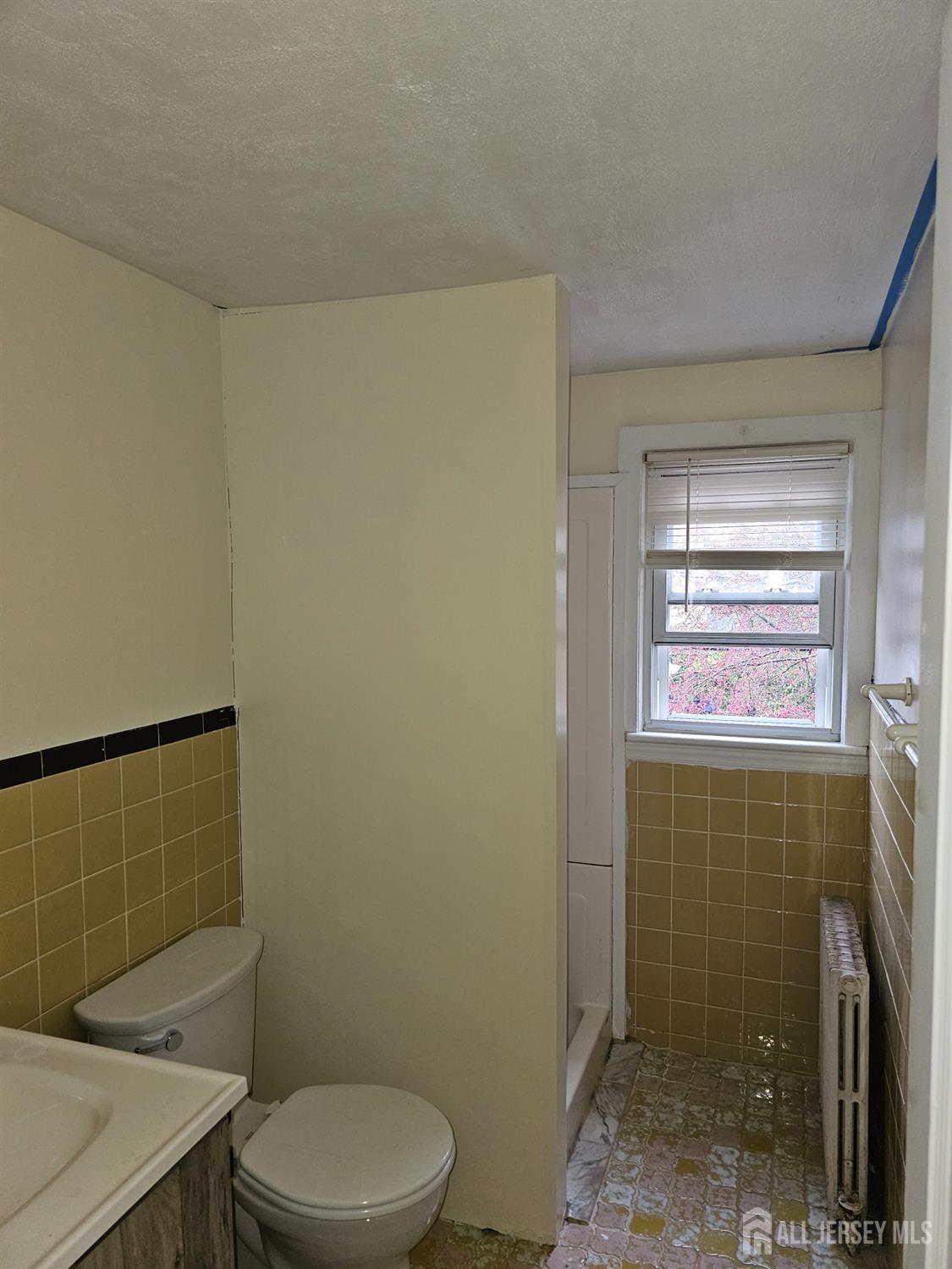 319 Felton Avenue, Highland Park NJ 08904 - View 2