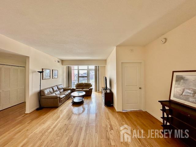 20 Livingston Avenue # 1003, New Brunswick NJ 08901 - View 3