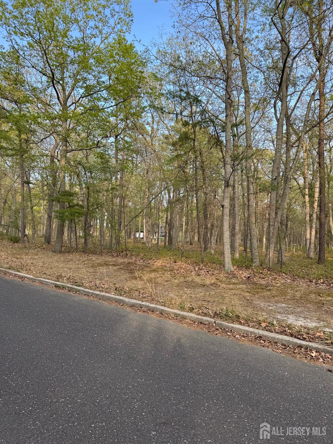 1 Red Onion Road, Shamong NJ 08088 - View 2