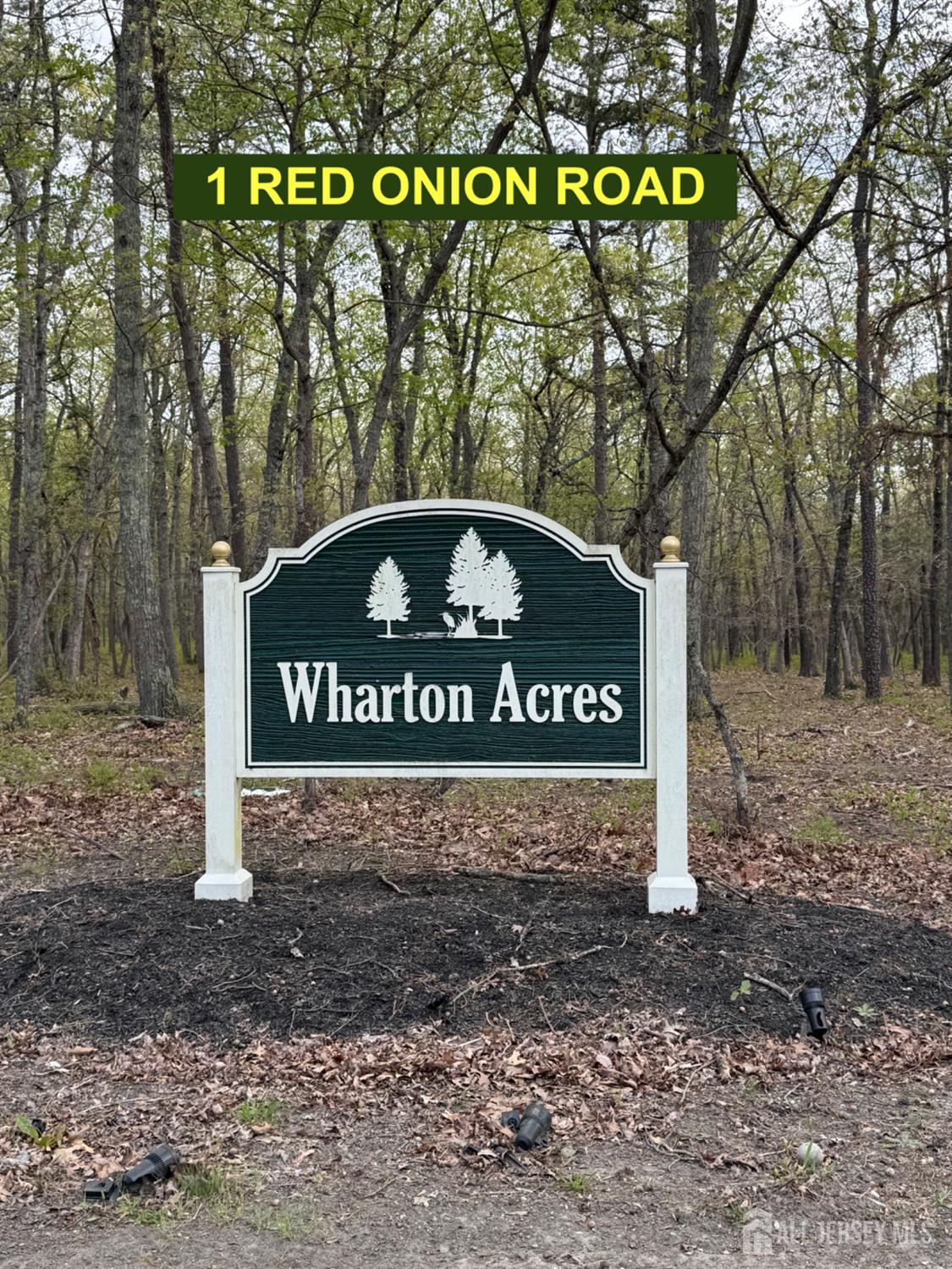 1 Red Onion Road, Shamong NJ 08088 - View 3