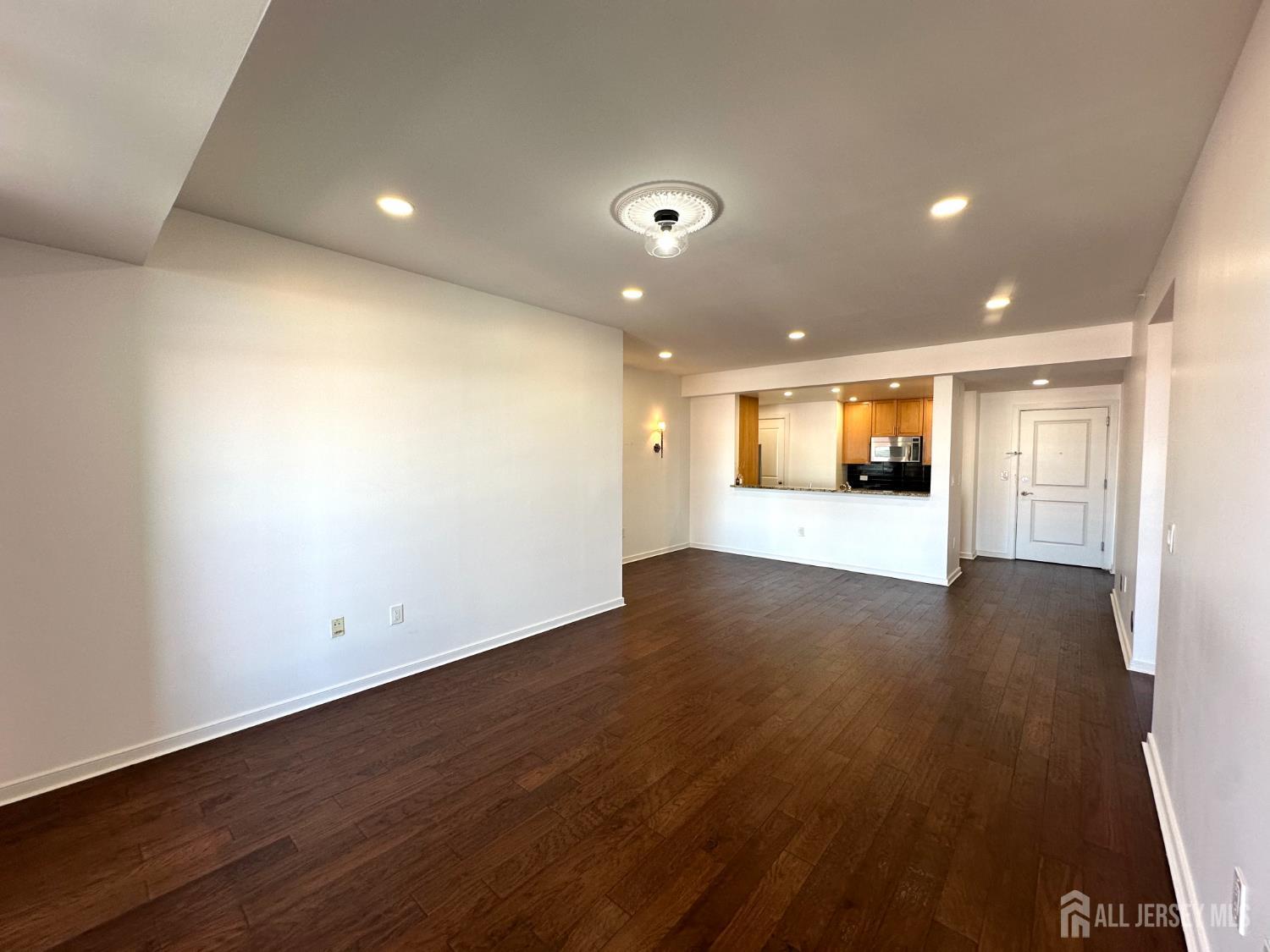20 Livingston Avenue # 703, New Brunswick NJ 08901 - View 4
