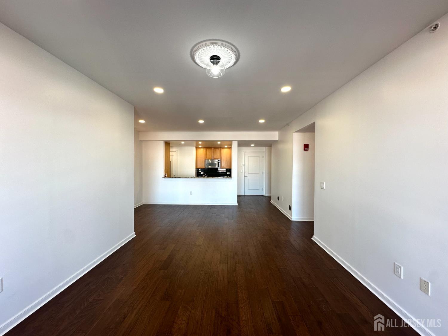 20 Livingston Avenue # 703, New Brunswick NJ 08901 - View 3