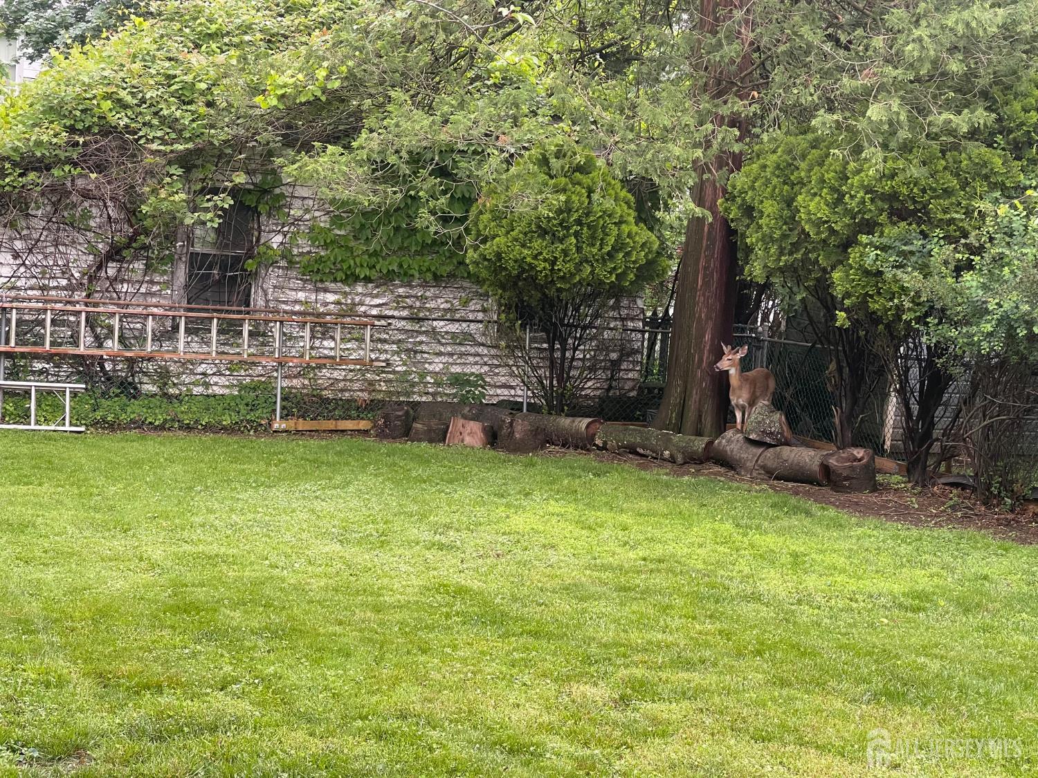 309 S 2nd Avenue S, Highland Park NJ 08904 - View 5