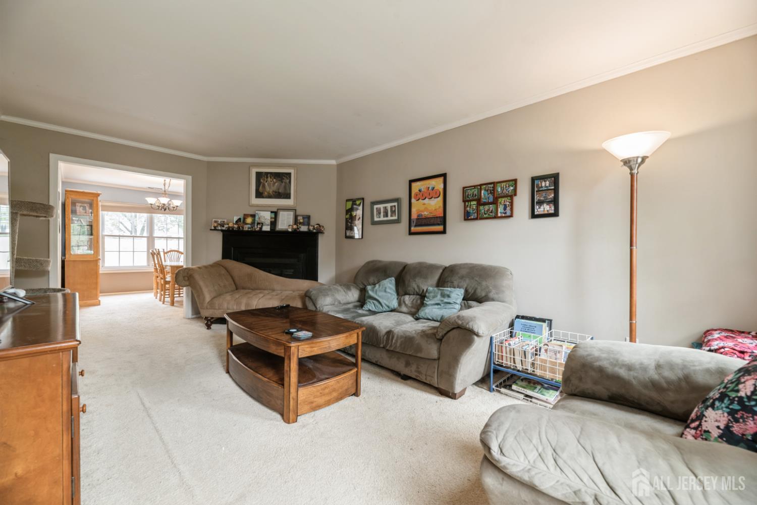 3 Pond View Drive, Plainsboro NJ 08536 - View 4