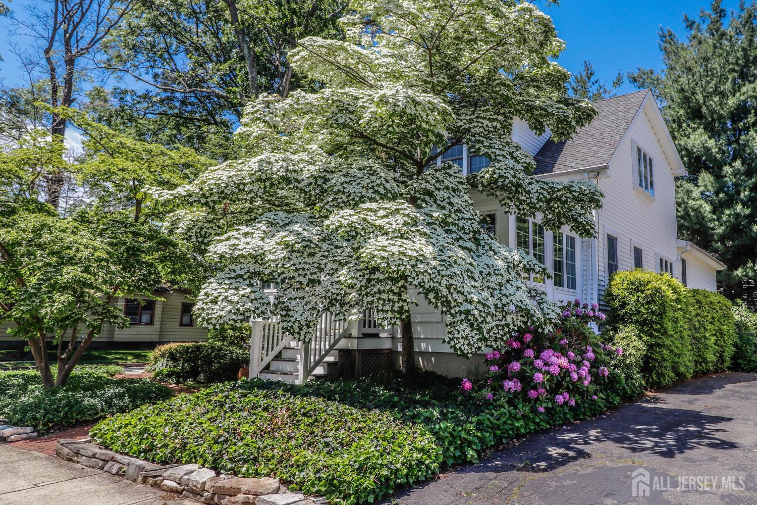 217 Midland Avenue, Metuchen NJ 08840 - View 3