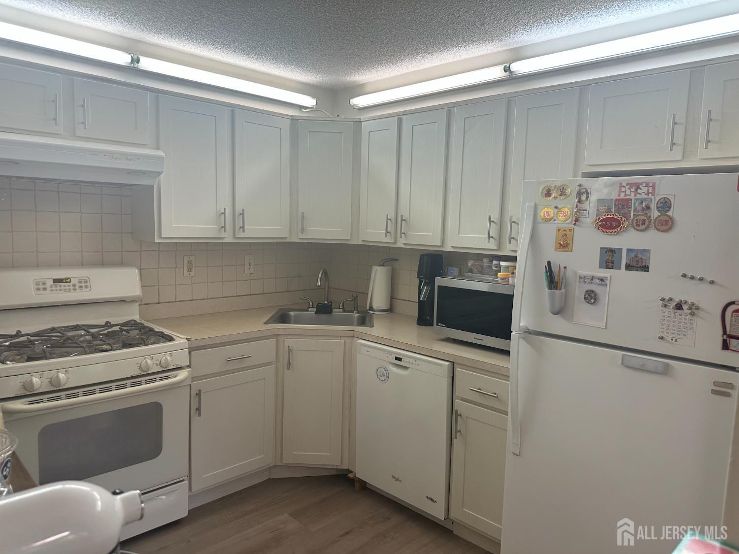 167 Rachel Court, Franklin Twsp NJ 08823 - View 3