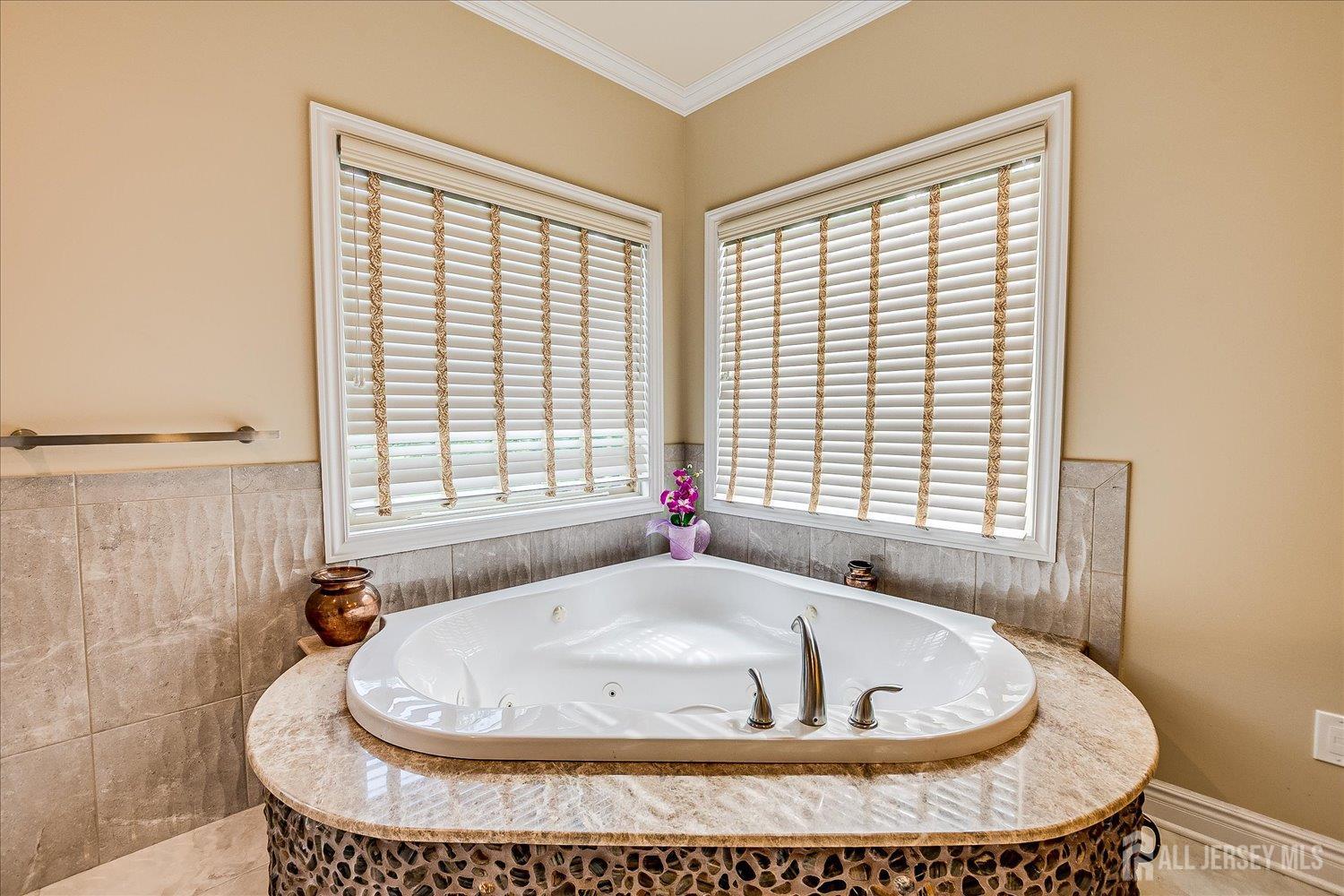 87 Ellmyer Road, Edison, NJ, 08820