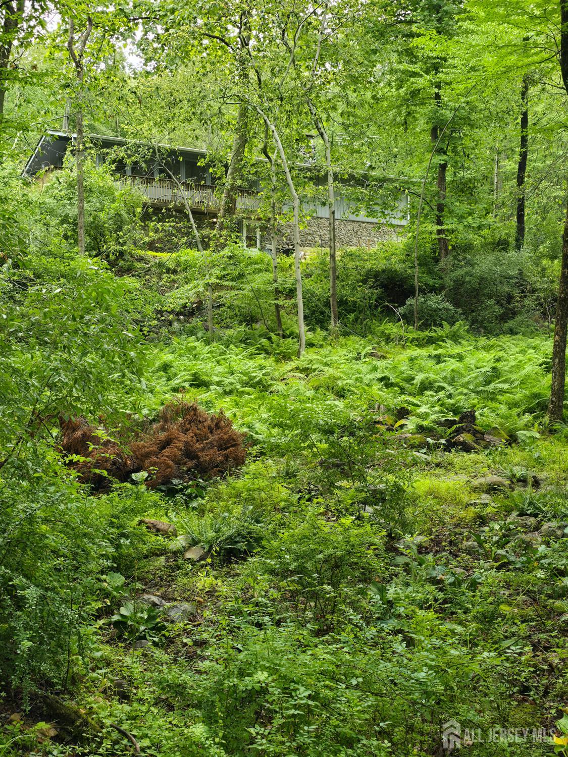 34 Stony Brook Road, Blairstown NJ 07825 - View 4