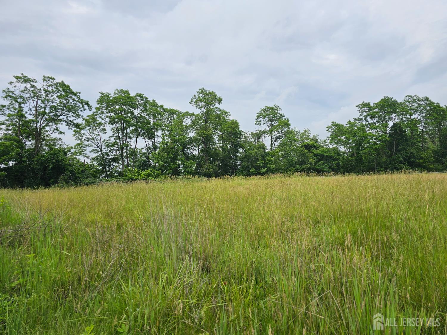 45 Hill Road, Allentown NJ 08501 - View 5
