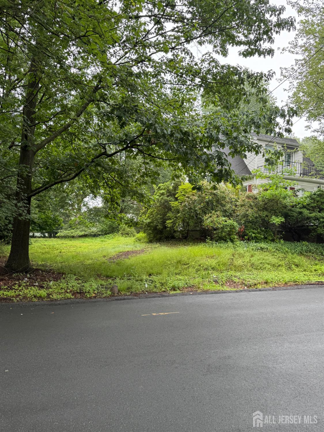 133 Harding Avenue, Edison NJ 08820 - View 4