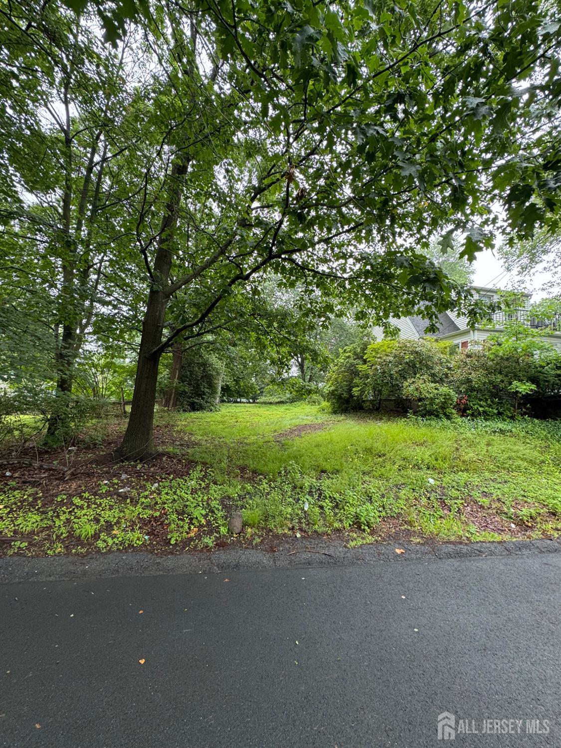 133 Harding Avenue, Edison NJ 08820 - View 5