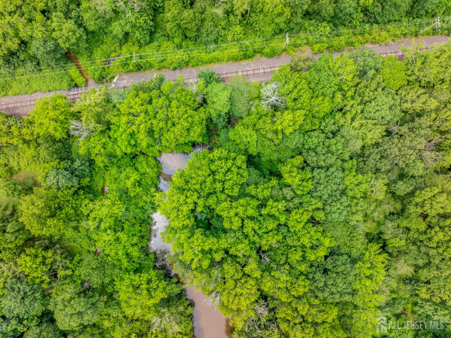 46 Belmar Boulevard, Farmingdale NJ 07727 - View 4