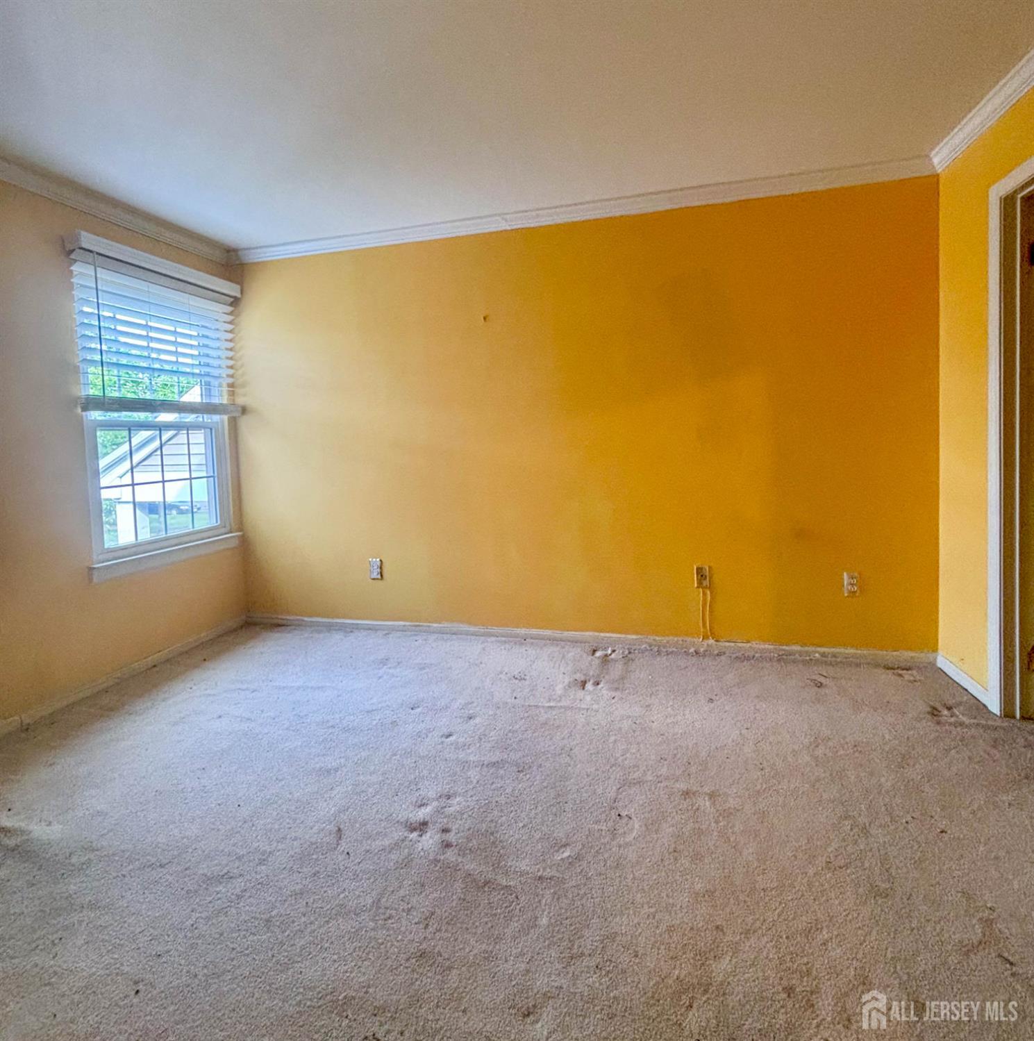 8 Starlight Court, New Brunswick NJ 08901 - View 4