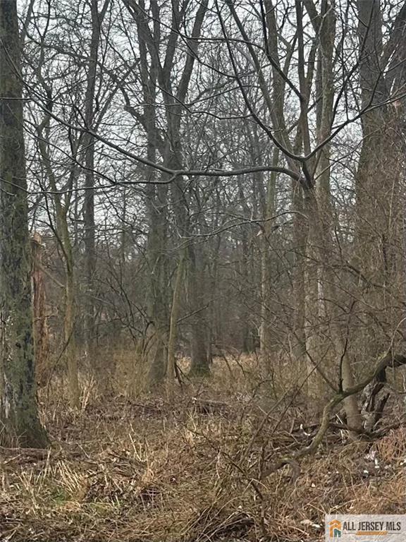 Homes for Sale in Piscataway, NJ