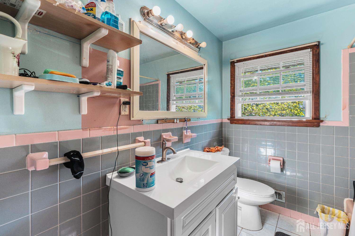 247 Adams, Piscataway, NJ, 08854