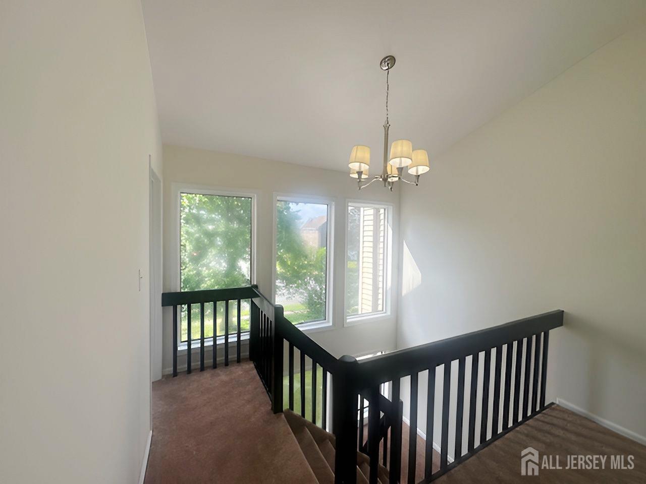 image11