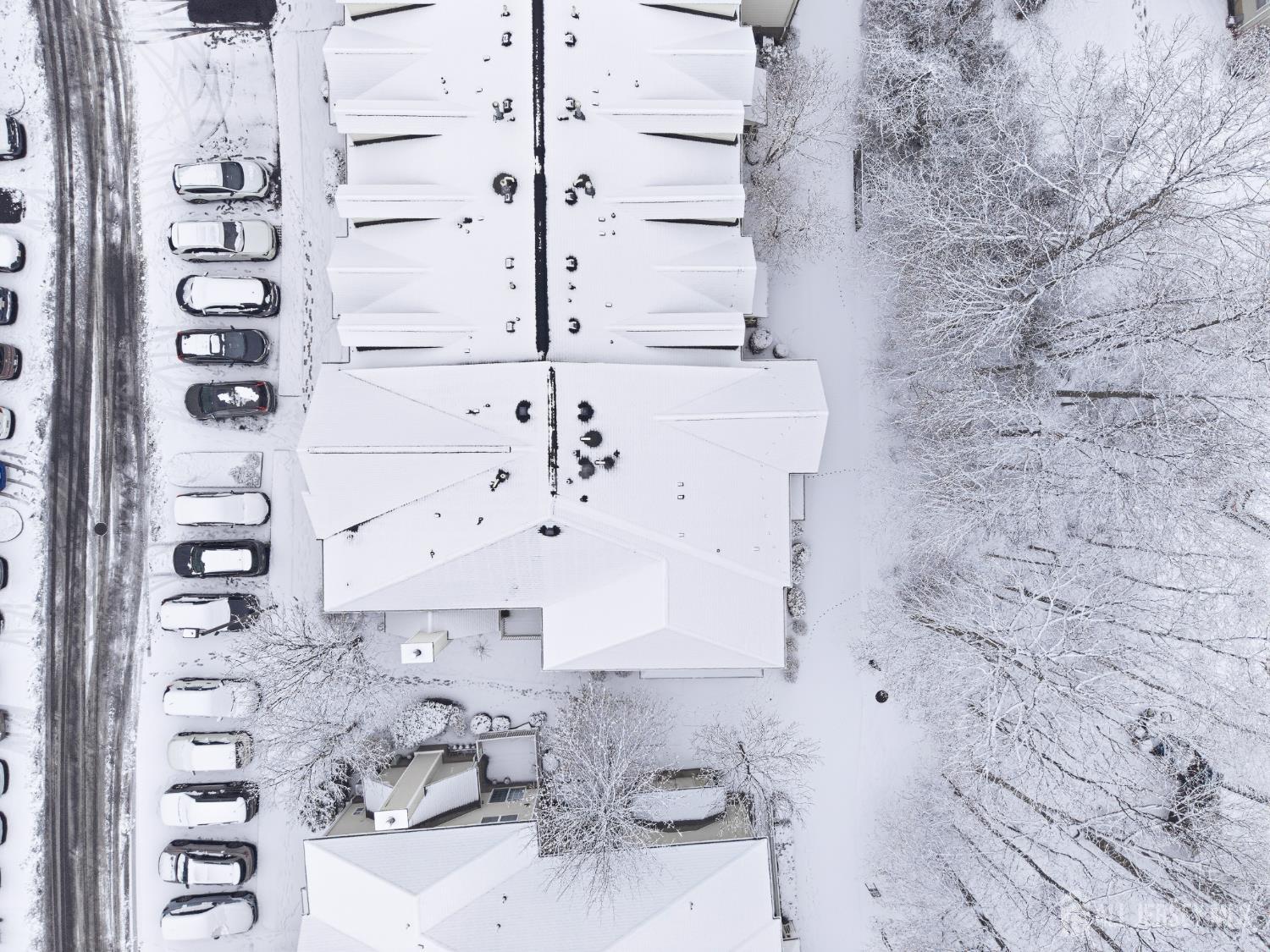 54 Forest Drive, Piscataway, NJ, 08854