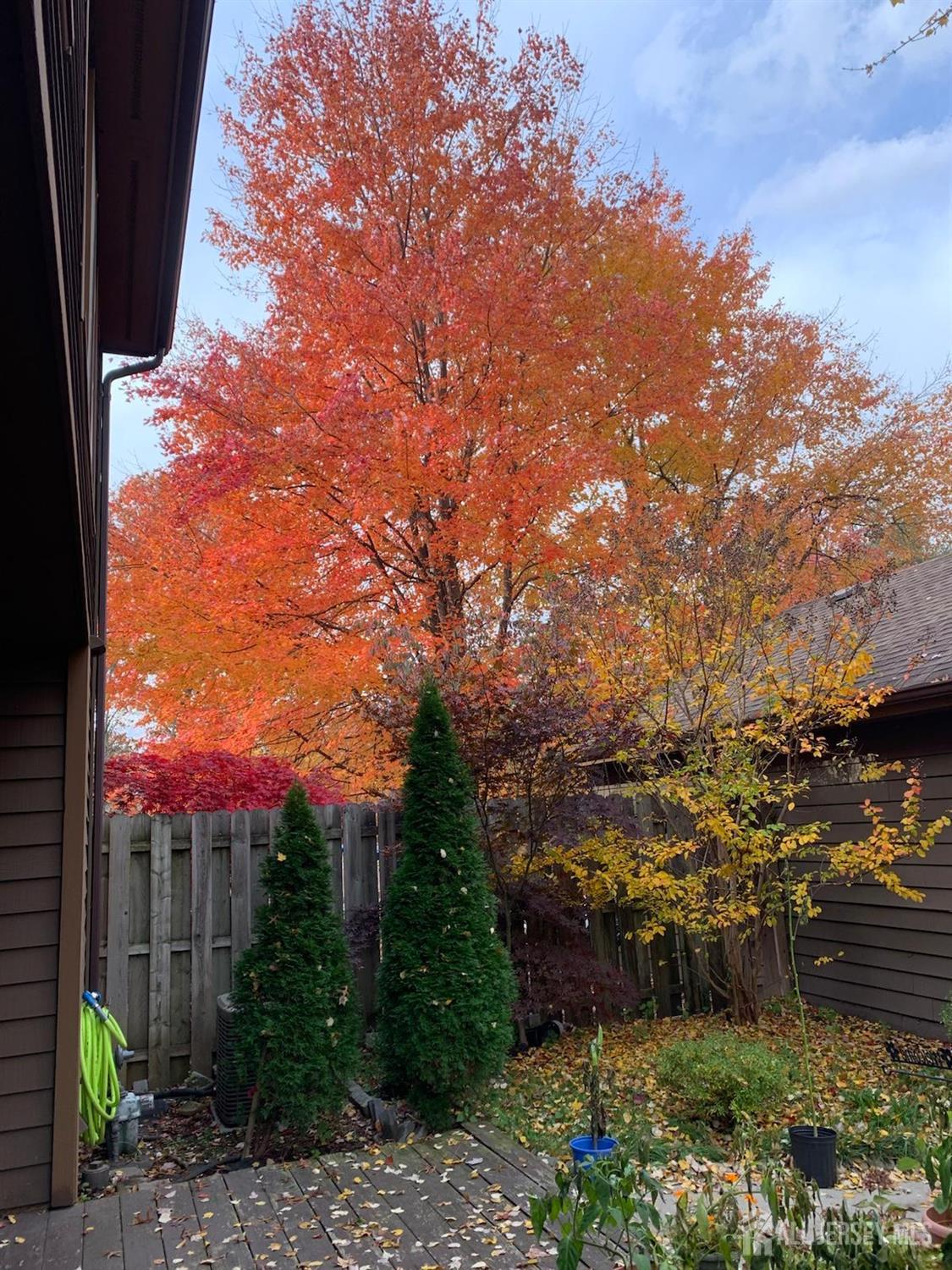 54 Holly, Edison, NJ, 08820