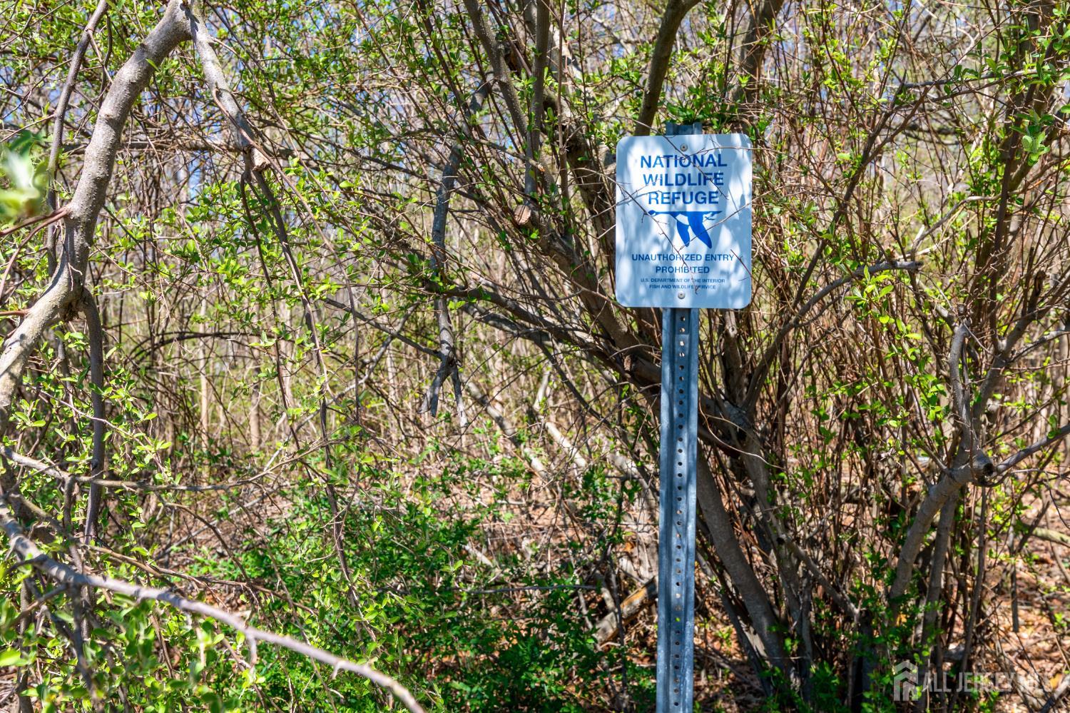 262 Skyline, Long Hill, NJ, 07946