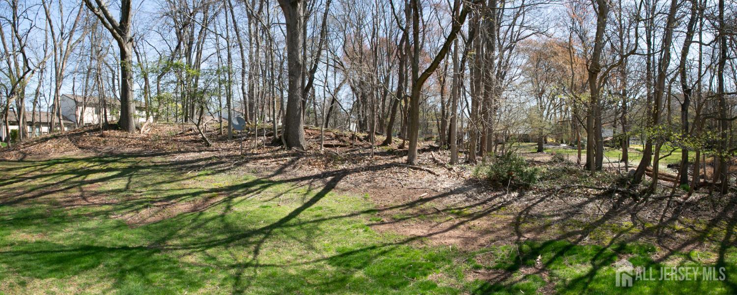 7 Cactus, Edison, NJ, 08820