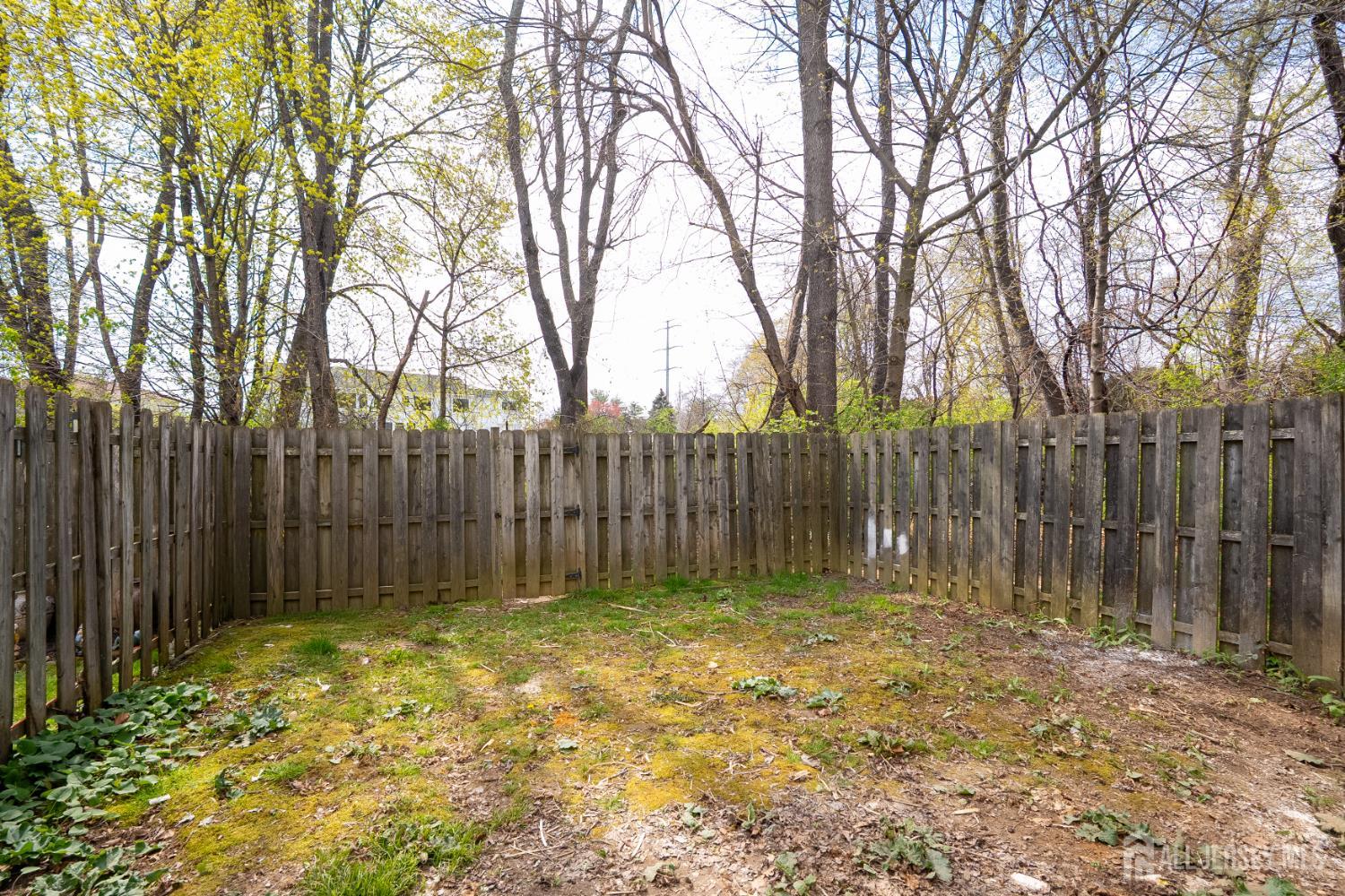 26 Davids, South Brunswick, NJ, 08810