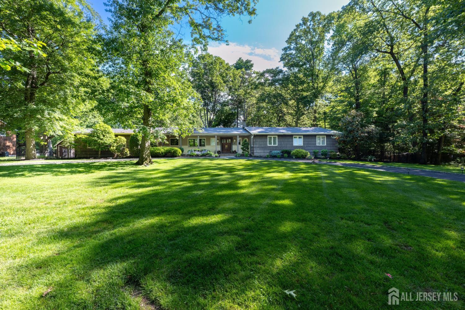 Scotch Plains Scotch Plains